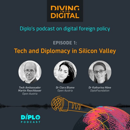 Diving into Digital #1 - Tech and Diplomacy in Silicon Valley