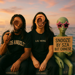 Snooze (Chinese Cover)