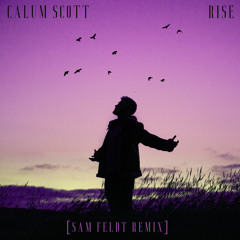 Rise (Sam Feldt Remix)