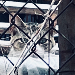 Cruelest Month - a preamble