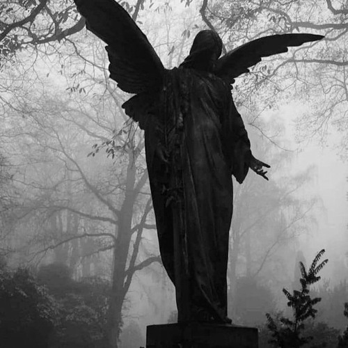 ASHES