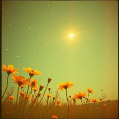 Dj.DamianR - Olejek nardowy z mych łez (Wiersze Romy Lemańskiej)