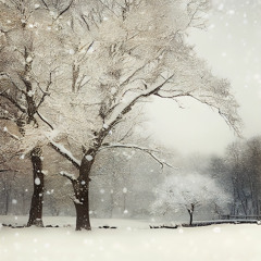 Winter Melancholy (Arranged improvisation)