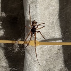 hotbox direction 3.m4a