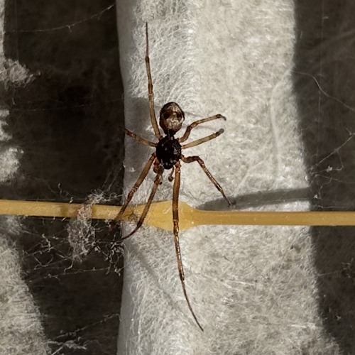 hotbox direction 3.m4a