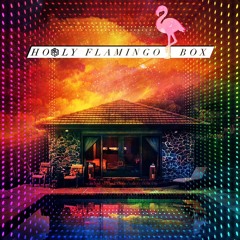 Holy Flamingo Box