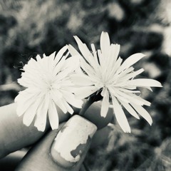 the leaves still fall (prod. PartyAtTheMoonTower)