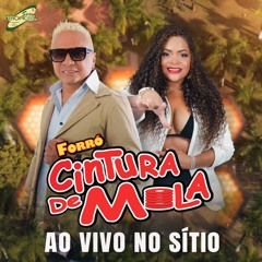 Deu Vontade de Te Vê de Novo