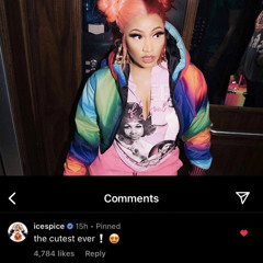 IN HA RED RUBY MOOD (NICKI MINAJ X ICE SPICE) FAN REMIX