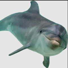 idk