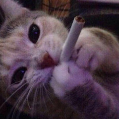 Make It w/ Xar (prod. tslsleepy)