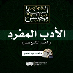مجالس الأدب المفرد (19) | د. أحمد عبد المنعم