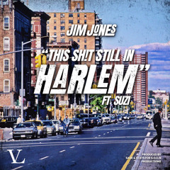 This Sh!T Still in Harlem (Radio) [feat. Suzi]