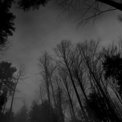 Casket (read desc)