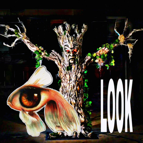 SEE INTO THE TREES