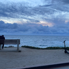 Affection 101 - Teddy Roosevelt ft. Julia Rose