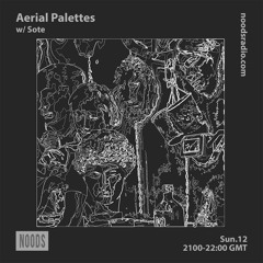 Aerial Palettes w/ Sote :: Noods Radio (September)