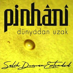 Pinhani - Dünyadan Uzak ( Salih Duman Extended )
