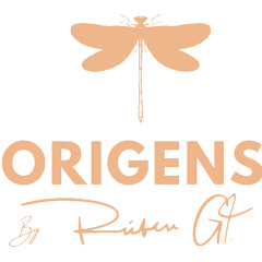 Origens inspiração do projecto