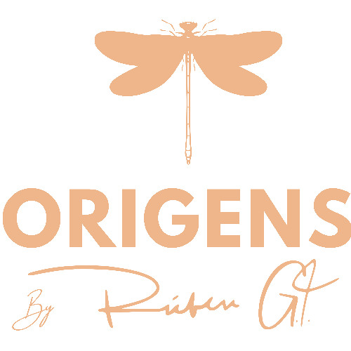 Origens inspiração do projecto