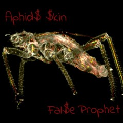 Aphid$ $kin
