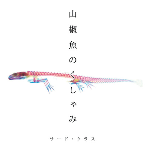 めめしいときのうた By サード クラス