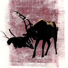 Tout brumeux + Twell et Z.A.C