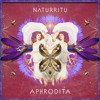 Video herunterladen: N Λ T U R R I T U - Aphrodita (Tantric Psilocybin Ceremony) / (Soundhealing / Meditation Mix)