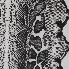 skin - snakeskin
