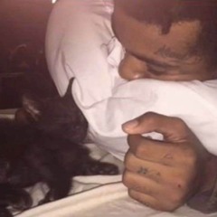 my last love song for you