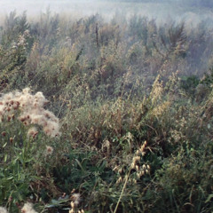 AntiWarDepressionMinimix2025-08-01_15h34m25