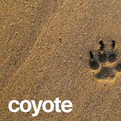 (FREE) | "Coyote" | Burna Boy x Victony x Rema Type Beat | Free Beat | Afrobeat Instrumental 2025
