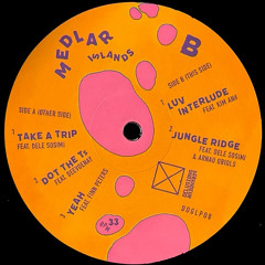 PREMIERE: Medlar - Luv Interlude (feat. Kim Anh)
