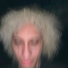 voice notes (feat. polami roko & mental) (prod. michael harrison)