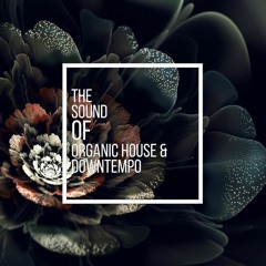 The Sound Of Organic House & Downtempo Vol.3 By Kurt Kjergaard