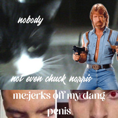 not even chuck norris ft. djderptacos