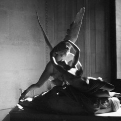 Sweet Adeline (SONARENA remix)