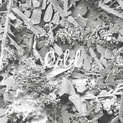 COLD