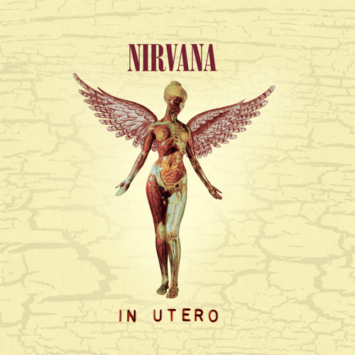 Listen to Heart-Shaped Box by Nirvana in pog playlist online for 