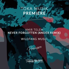 PREMIERE: Amir Telem - Never Forgotten (Ander Remix) [Wildfang Music]