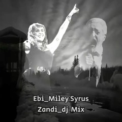 Ebi_Miley_Cyrus_Zandj_Mix.mp3