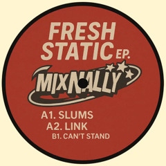 MixNally - Cant Stand