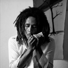 Bob Marley Speech Techno  Remix (my richness is life)