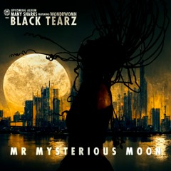 Mr Mysterious Moon (feat. WondRWomN)