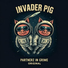 INVADER PIG