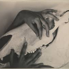 Expectidectomy - Piano Tone Poem 3