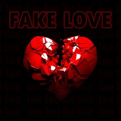 FAKE LOVE (Prod. SilentSyndicate)