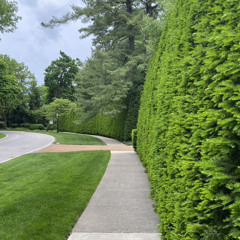 Ménage - Back Burners Vol.1 - Alpe D'Huez