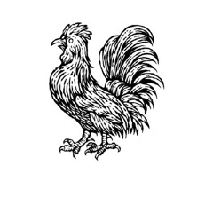 ROOSTER