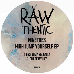 Ninetoes - High Jump Yourself (Original Mix)